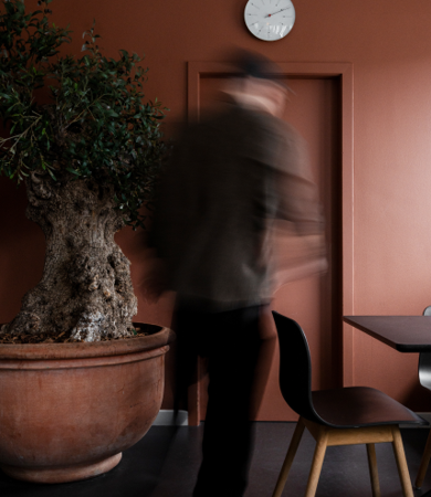 7N office with a male staff member walking beside a big plant